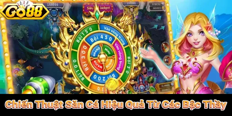 Chiến thuật săn cá bách phát bách trúng từ các chuyên gia
