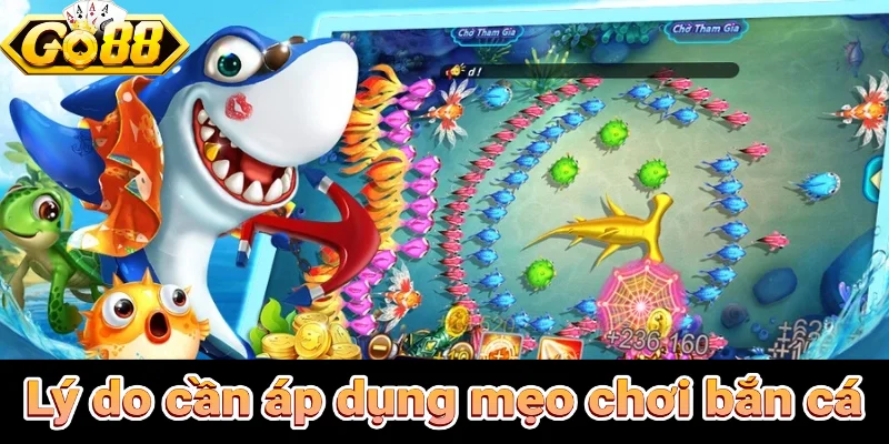 Lý do cần áp dụng mẹo chơi bắn cá