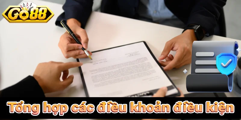 Tổng hợp các điều khoản điều kiện mới nhất